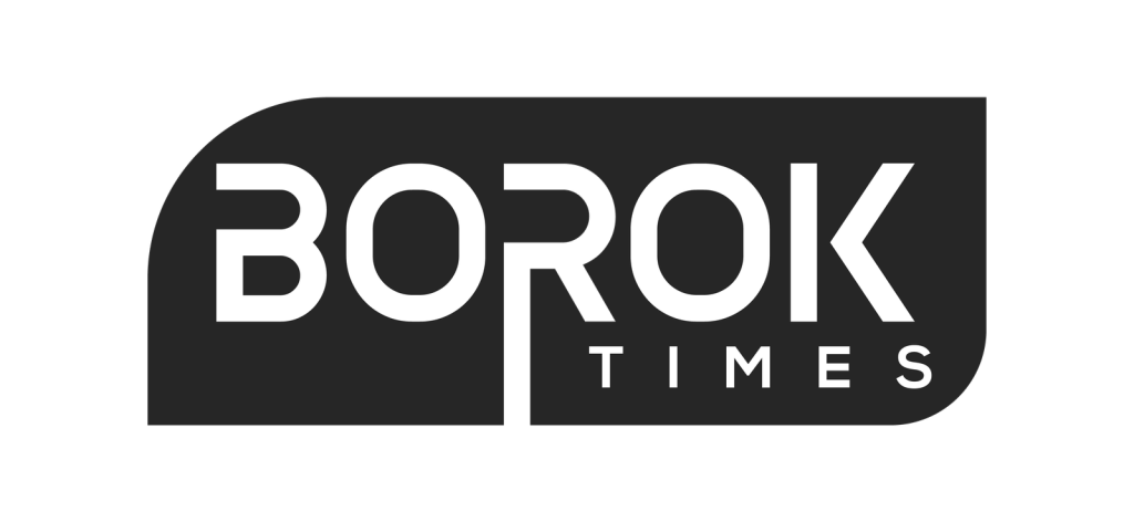 Borok TIMES - cover