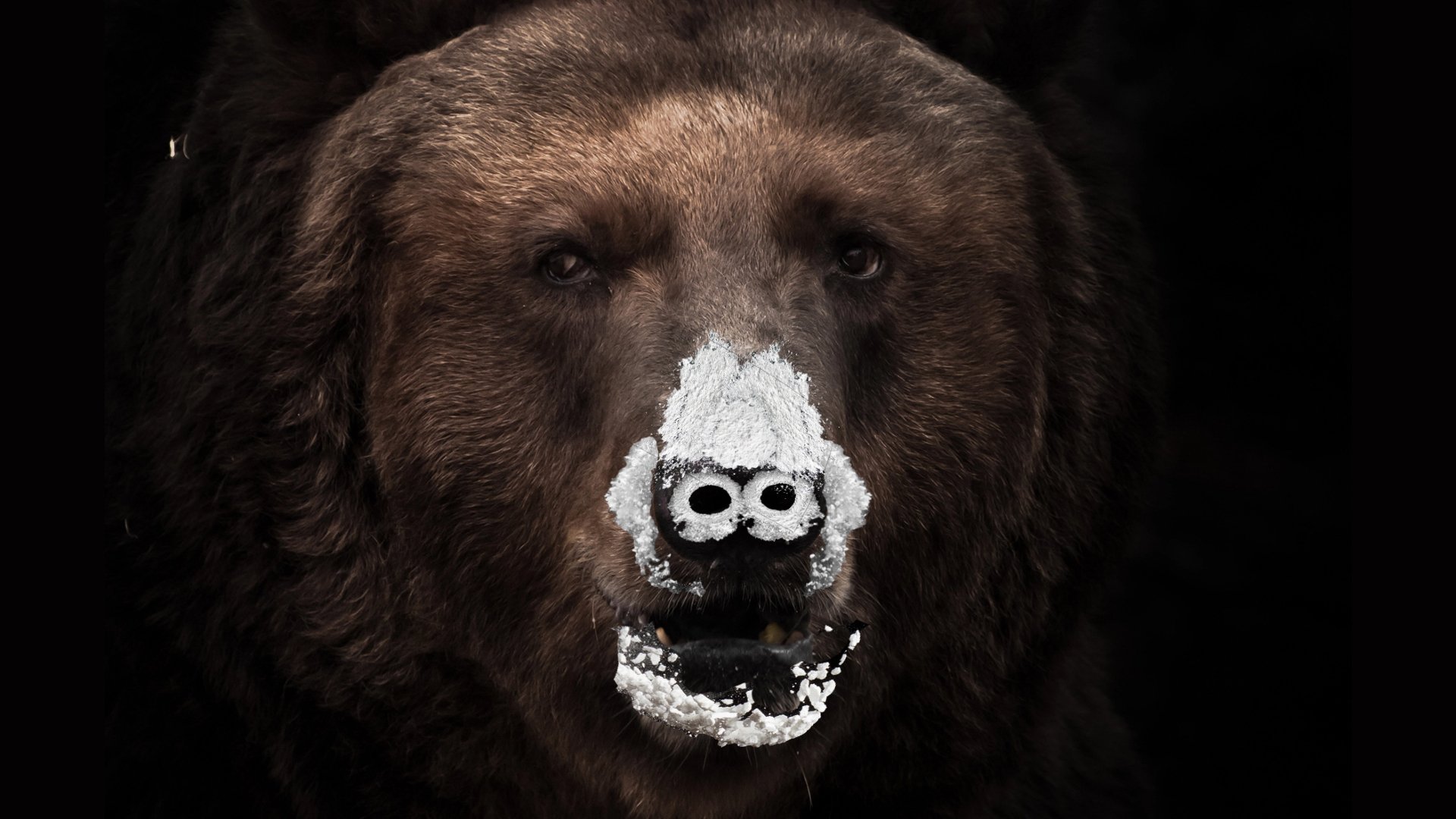 People Are Losing Their Minds Over 'Cocaine Bear' - cover