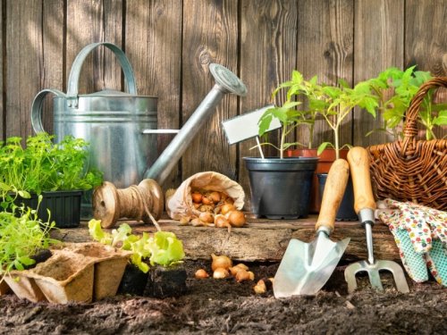 20 Gartenarbeiten im März: Das gibt es jetzt im Garten zu tun