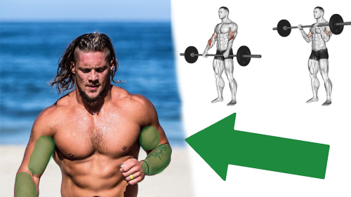 How to Build Incredible Arms with Reverse Curls – Technique Tips, Benefits and Mistakes | BOXROX