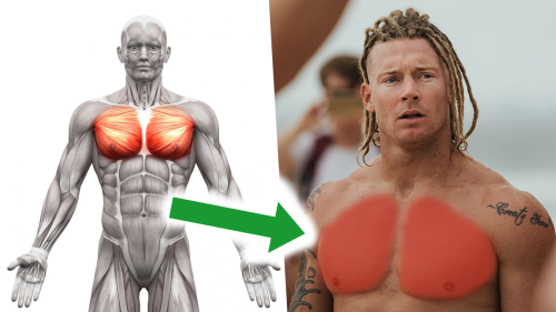 The Best Chest Workout for Perfect Pecs in Only 20 Minutes | BOXROX
