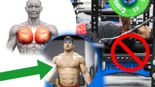 STOP USING THE BENCH PRESS! 3 Better Exercises for Building a Perfect Chest | BOXROX