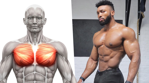How to Build a Massive Chest (Watch the Workout with Over 5.9 MILLION Views) | BOXROX
