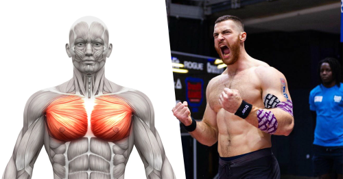 Best and Worst Chest Exercises to Build Muscle | BOXROX