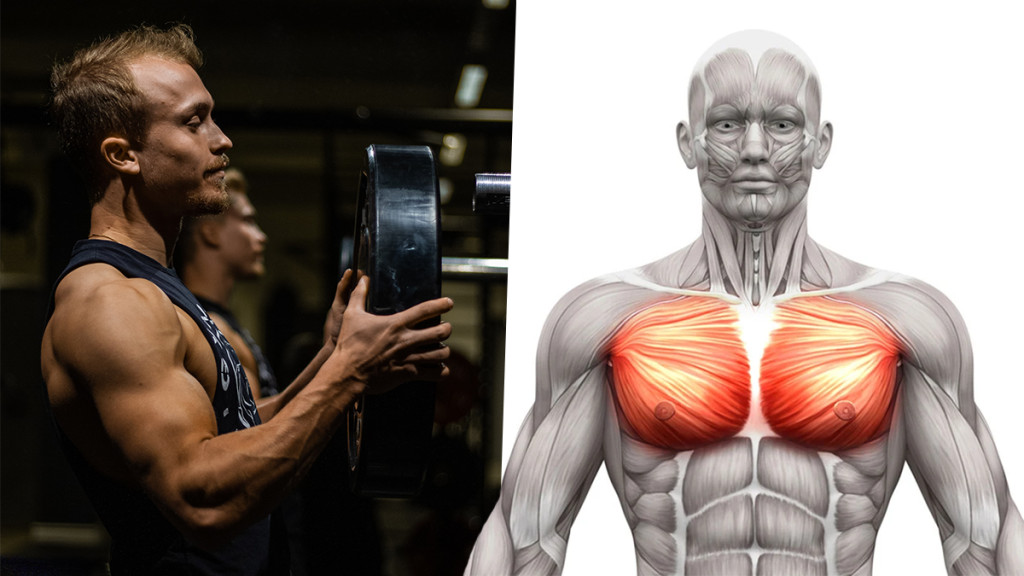EMPOWER YOUR Chest POWER  - cover