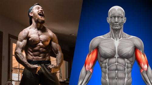 5 Bicep Exercises Better than Bicep Curls | BOXROX
