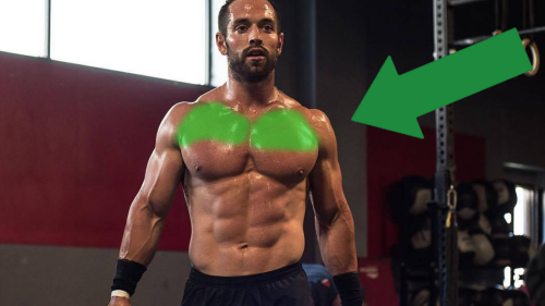 The Best Upper Chest Exercises for Stronger and Better-Looking Pecs | BOXROX