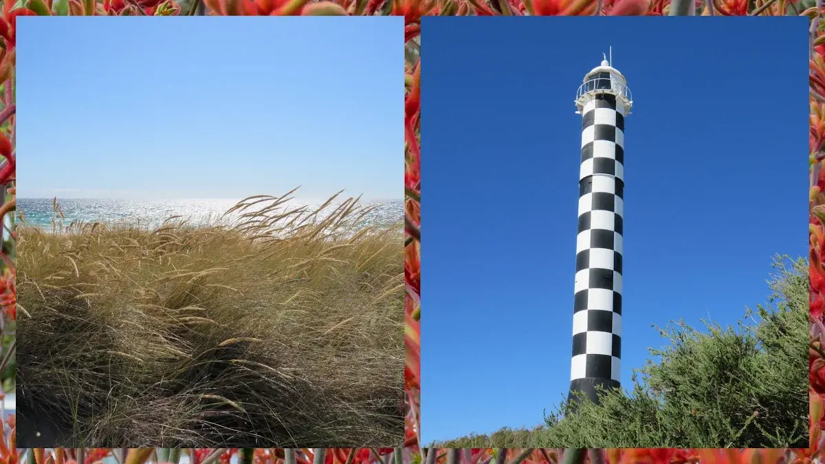 Plan A Perth to Margaret River Road Trip (19 Great Places to Visit)