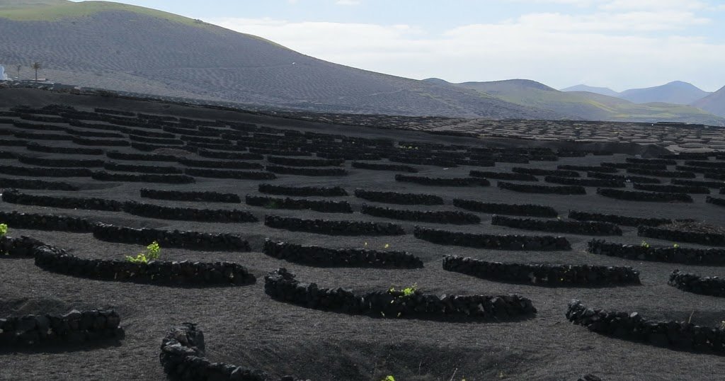 10 of the Best Things to do in Lanzarote in January