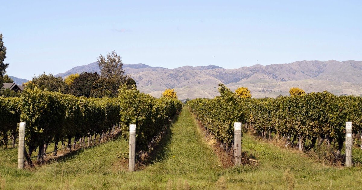 What's It Like to Cycle the Blenheim Bike Wine Trail in New Zealand?