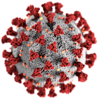 Coronavirus (COVID-19) update : meaning, symptoms, risk, spreading, treatment, prevention