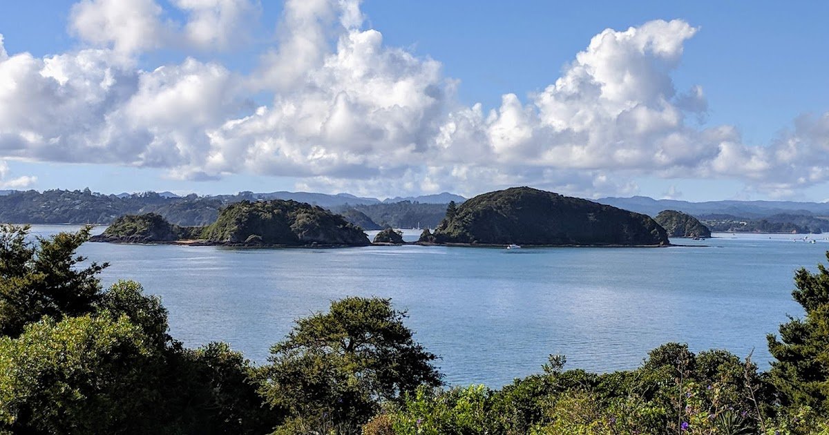 How to Drive Auckland to Paihia and The Best Things To See on the Way