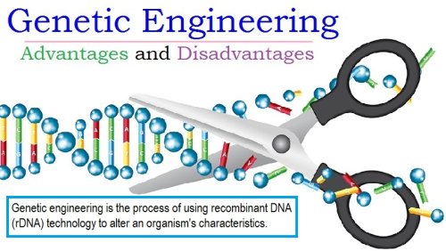 Applications of Genetic Engineering: Advantages and Disadvantages