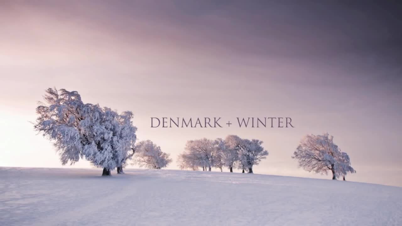 Denmark Love cover image