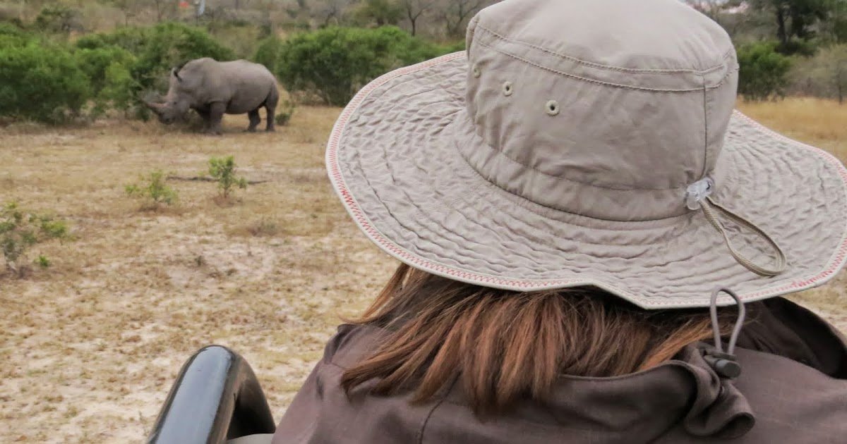 2 Weeks in South Africa: 10 Cool Things You Shouldn't Miss