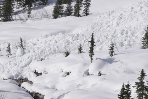 Skiers uninjured after Glacier National Park avalanche carries them 60 metres