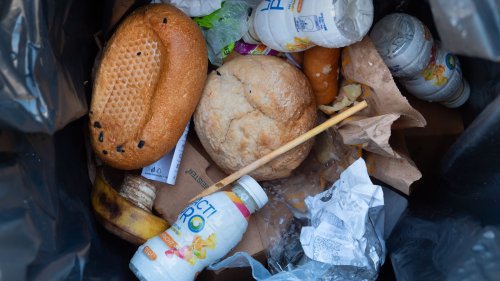 UN-Studie: 19 Prozent aller Lebensmittel landen im Müll