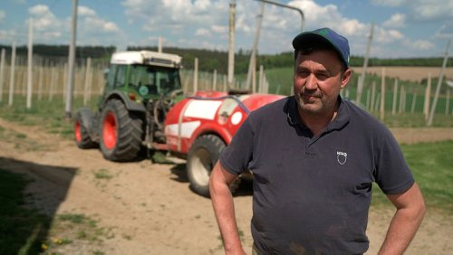 Problem für Landwirte: Immer weniger Pestizid-Wirkstoffe