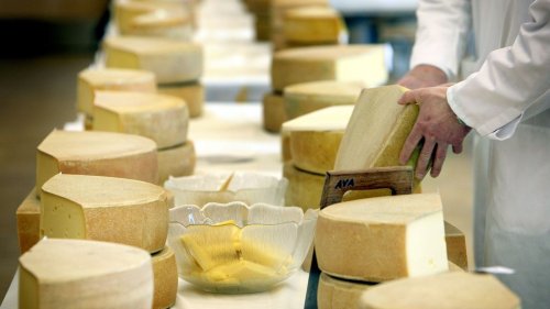 Wettbewerb: Wer macht den besten Käse im Allgäu?