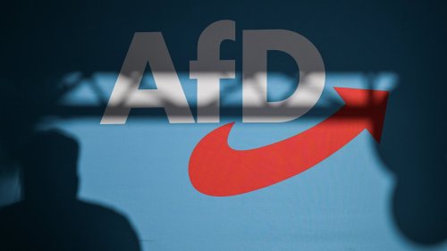 #Faktenfuchs: AfD wird nicht wie Opposition in NS-Zeit verfolgt