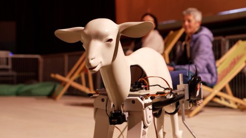 Robo-Ziegen singen KI-Texte zu Mozart: Wer ist hier der Star?