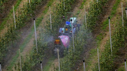 Südtiroler Apfelstreit: Teilerfolg für Pestizid-Kritiker