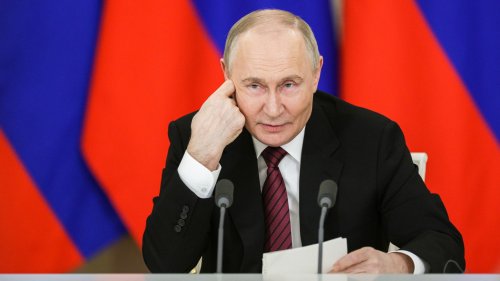 Putin will Verhandlungen: "Kreuzung von Schlange und Igel"