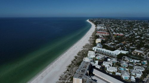 Red tide spreads north around Anna Maria Island and Tampa Bay, continues near Sarasota