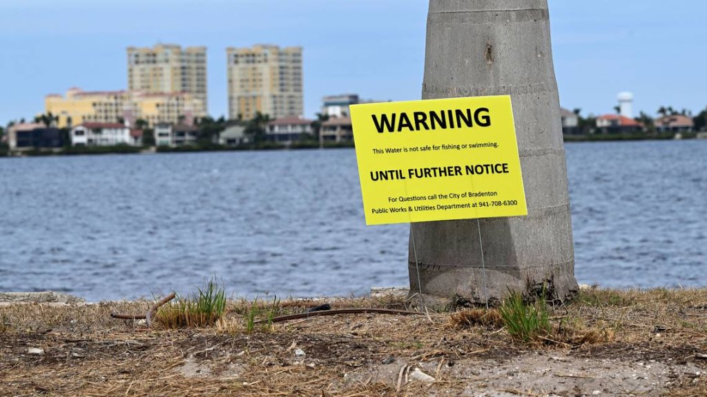 Florida Water Watch - cover