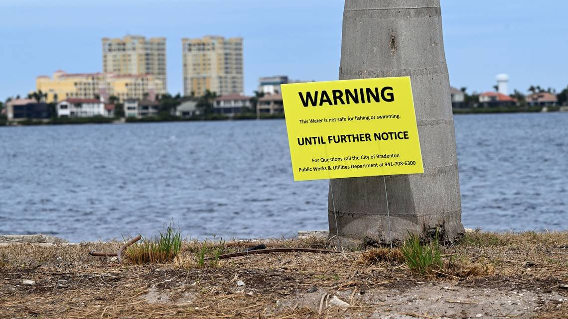 Florida Water Watch cover image