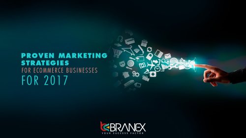 Proven Marketing Strategies for eCommerce Businesses for 2017 - Branex