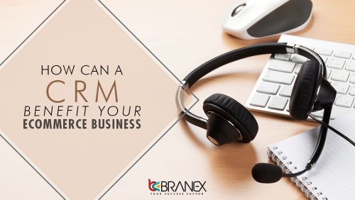 How can a CRM Benefit your eCommerce Business - Branex