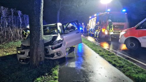 Gifhorn: Auto prallt frontal in Baum – Fahrer eingeklemmt