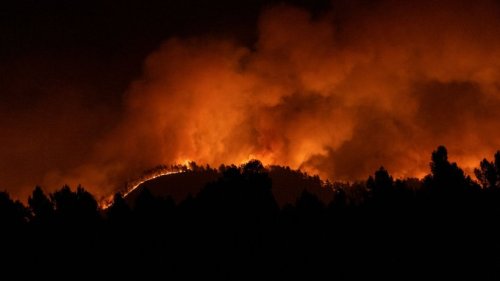 Erster großer Waldbrand des Jahres in Spanien