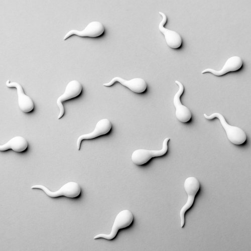 Wie lange überleben Spermien: die 7 häufigsten Situationen!