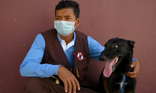 From Mines to COVID: Cambodia Dogs Train to Sniff out Virus