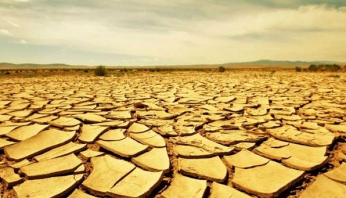 The world will face record heat in the coming decades | Natural Disasters