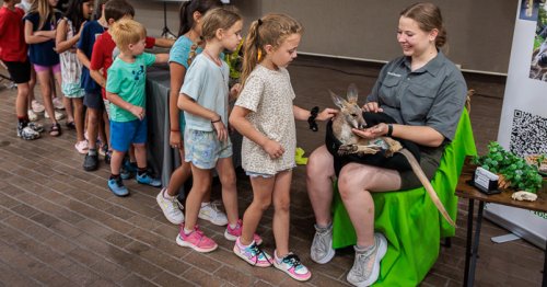 Local organizations plan summer activities for Breckenridge kids