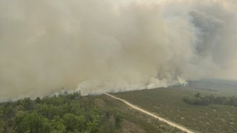 Crews battle 1,000-acre wildfire near Grayling; evacuations underway