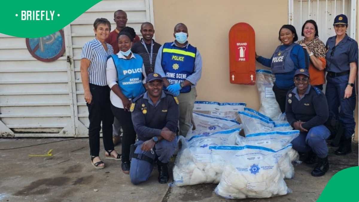 Gauteng man nabbed with R50 million worth of crystal meth in Eastern Cape, SA wants kingpin arrested