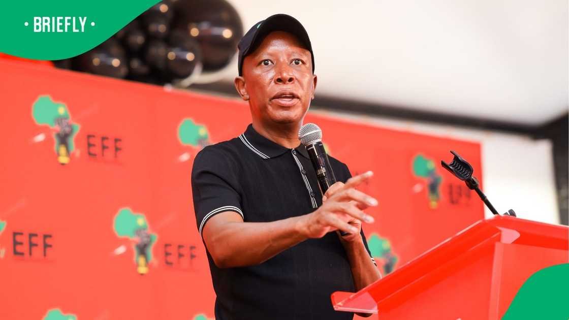 Julius Malema says they want to expropriate farms and mines, not rotten buildings, SA not impressed