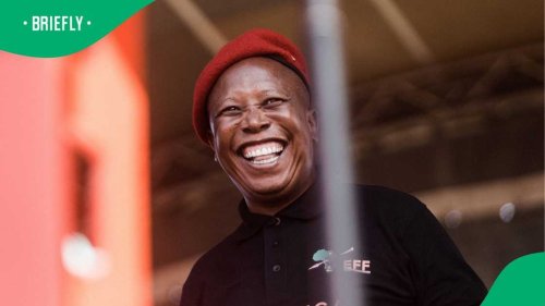 Julius Malema questions why AfriForum leaders haven't moved to the USA, South Africans amused
