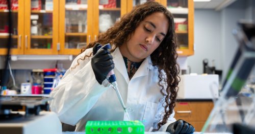 UT Austin professors fear Trump administration's funding cuts will derail life-saving research