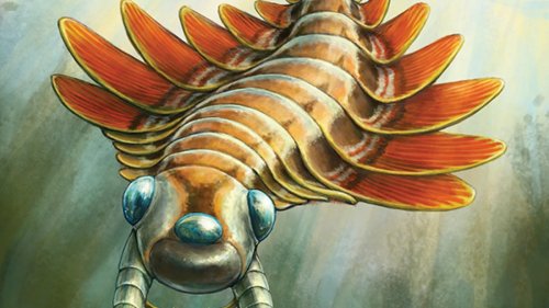 Paleontologists discover a 500-million-year-old, 3-eyed predator