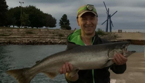 Chicago fishing/Midwest Report: Shoreline salmon/trout, Chicago River ode, lakefront sturgeon, pinks