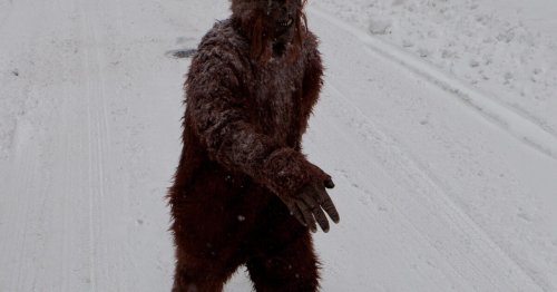 Is Bigfoot real? A new book dives deep into the legend