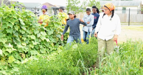 Study: ‘Food Forests’ on underutilized land in San Antonio could reduce food insecurity