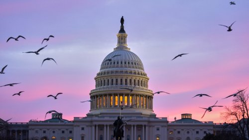 In a new poll, Americans voice broad bipartisan support for age caps in Congress | Flipboard