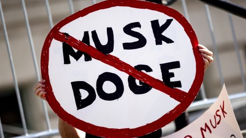 DOGE created a 'survey of surveys' for a push to cut some government data collection
