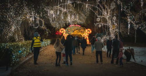 Best things to do this week in Los Angeles and Southern California: December 9 - 12